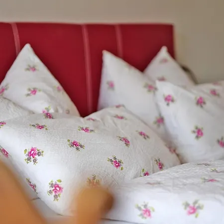 Hotel Adler 3*
