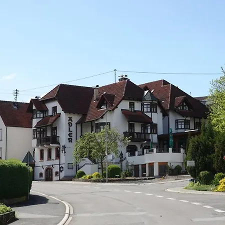 Adler Hotel Lauda-Koenigshofen